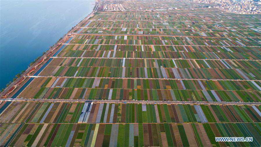 (EcoChina)CHINA-HORTICULTURAL EXPO-YUNNAN (CN)