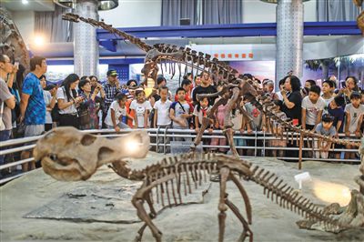 8月12日,北京自然博物馆,家长和孩子在夜场参观,听工作人员进行讲解