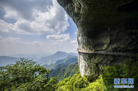 （美丽中国）（1）重庆金佛山：喀斯特地貌显奇观