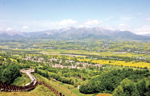青海互助县麻吉村：  花海农庄溢满花香农趣