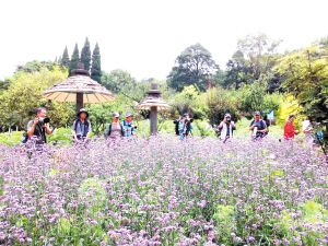 黑龍潭公園成了 百鳥園 雲南頻道 人民網