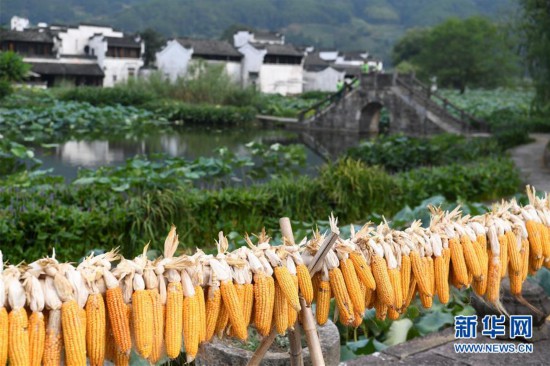 （美麗中國）（3）安徽呈坎古村風光好