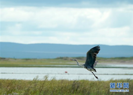 (美丽中国)(6)祖国北疆蓝宝石:呼伦湖