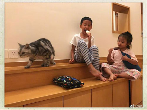 姚晨晒一双儿女有爱时刻哥哥给茉莉分享雪糕超暖