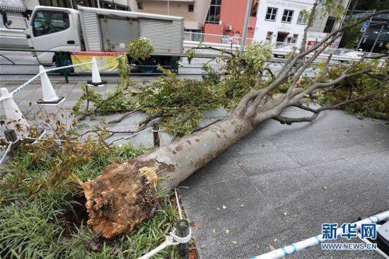 （國際）（2）強台風“法茜”登陸日本