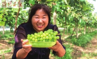 吉利区康乐街道办事处人口数_吉利区蒋向阳