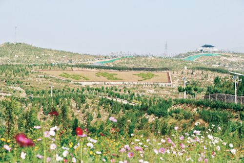 从"脏得出名"到"美得出众"——邯郸市峰峰矿区全域开展生态修复,农村