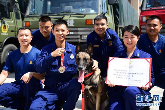 (社会)(2)搜救犬“巴特”载誉归来