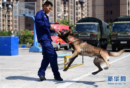 (社会)(3)搜救犬“巴特”载誉归来
