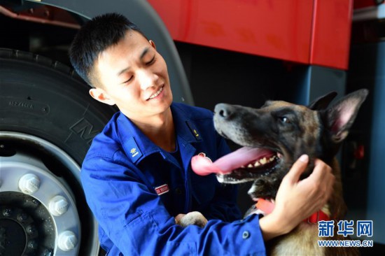 (社会)(5)搜救犬“巴特”载誉归来