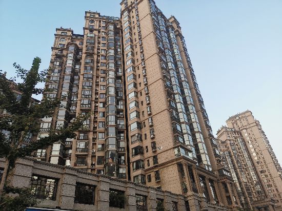 珠江帝景人口(2)