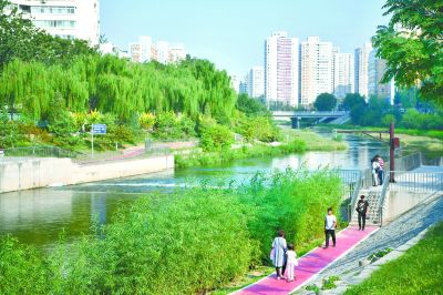 凉水河生态景观提升工程:“淘米式清淤”去了凉水河臭味