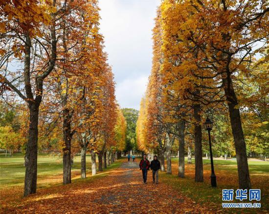 （国际）（1）斯德哥尔摩之秋