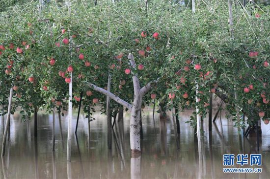 （國際）（2）台風“海貝思”致日本中部一河流潰堤百余人受困