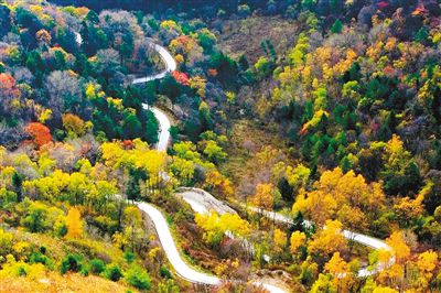 留坝县荣膺全国"最佳森林休闲体验地"称号