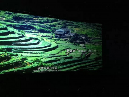 4影片大部分鏡頭取景於著名茶鄉、僑鄉——泉州市安溪縣_副本.jpg