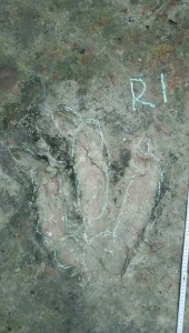 ٪޼ڴʳ㼣Ĵ