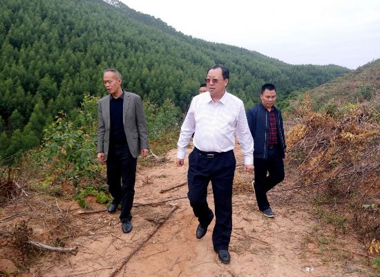刘涛:脚踏实地 干好工作