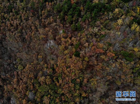 (环境)(2)安徽潜山:俯瞰大别山区