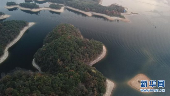 (环境)(1)太平湖晨景