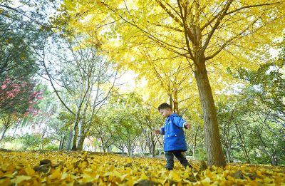 玉渊潭公园推出7大赏秋景点