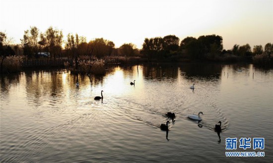 �������й�����4������ʪ����Ϧ��