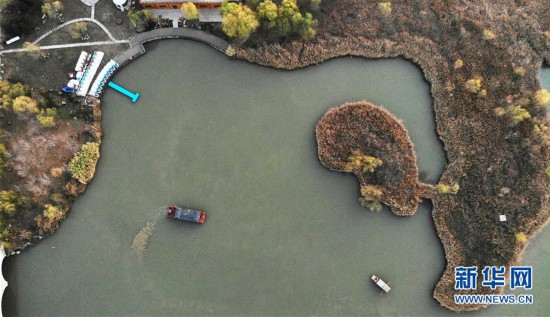 �������й�����3������ʪ����Ϧ��