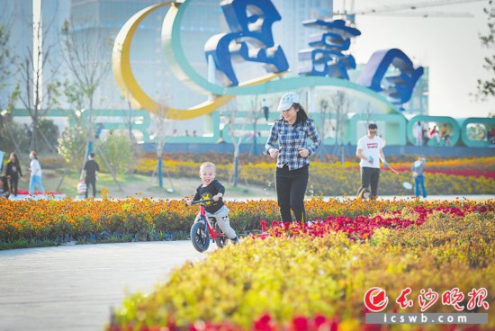 　　↓月亮島公園精彩蝶變，體育主題片區向市民開放，游客在花叢中自由奔跑，感受美好時光。