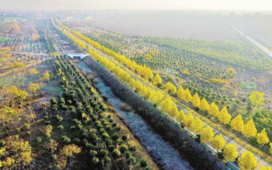 太和县郭庙镇2019经济总量_太和县双庙镇地图