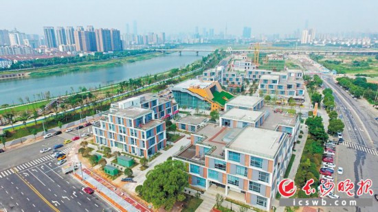 馬欄山視頻文創產業園。長沙晚報全媒體記者 王志偉 攝