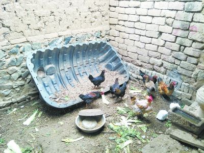化粪池变成了鸡食槽、储物柜、水缸盖