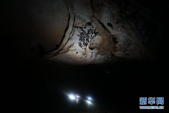 (科技)(4)跨国探险队在广西东兰发现大型天坑