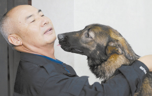 克隆犬昆勋是个优等生