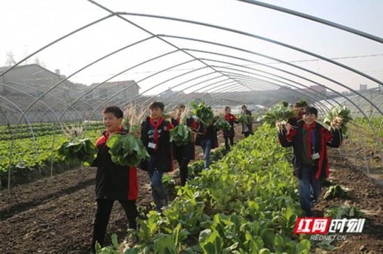 “开心农场”，让学生回归自然