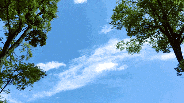 4.gif