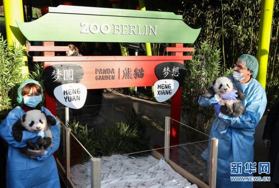 �����ʣ���4���ڵ³�������è˫��̥����Ϊ�����롱����Բ��