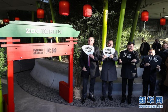 �����ʣ���6���ڵ³�������è˫��̥����Ϊ�����롱����Բ��