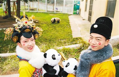 不倒翁小姐姐动物园巡游