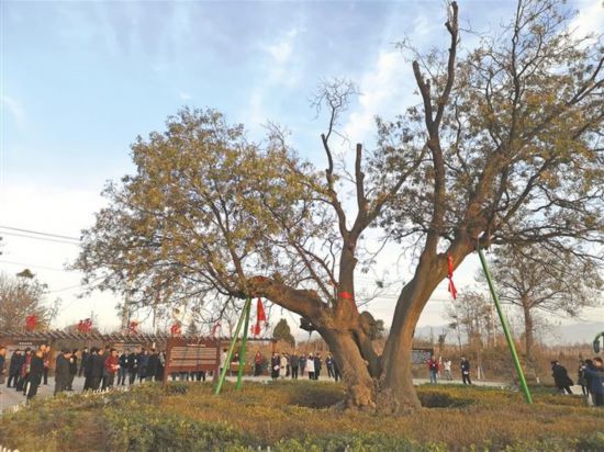东亚承载人口_东亚病夫