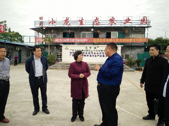 郑娟率队赴百色市v宝宝各宝宝玩具阶段图片