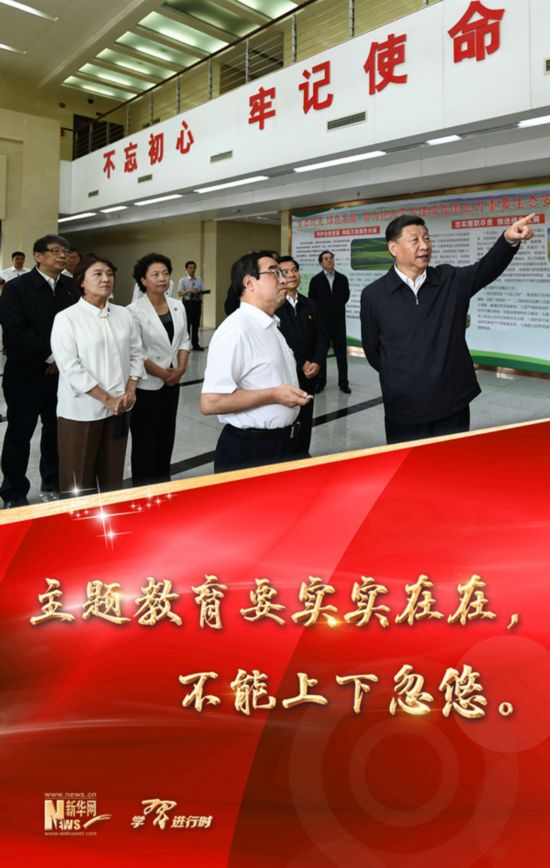 【习近平年度“金句”之五】主题教育要实实在在，不能上下忽悠