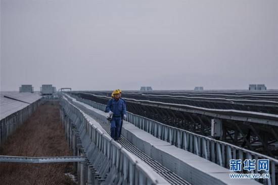 （經濟）（4）浙江省內最大規模海涂光伏發電項目正式投運