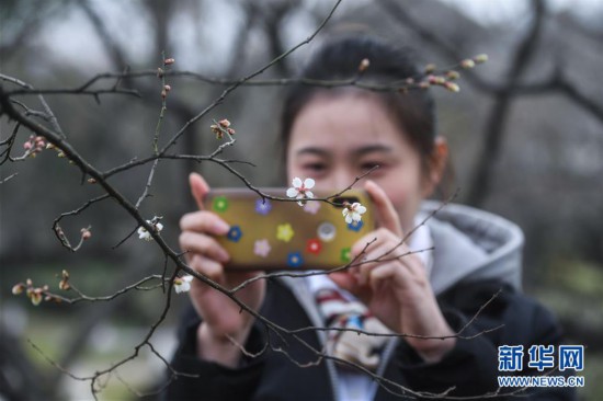 （美丽中国）（3）江南赏梅胜地开启迎春赏梅季