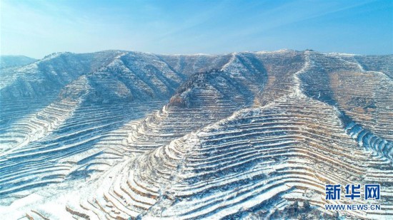 ����������5���ӱ����أ�ѩӳ̫��������