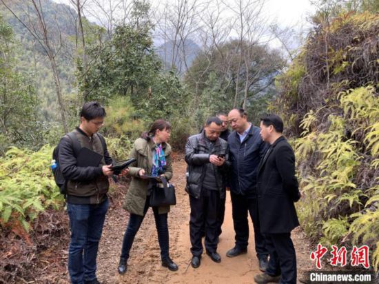 农夫山泉被质疑破坏生态当地部门:确涉嫌毁林已立案查处