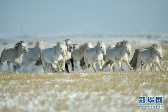 ����ᣩ��6��ѩԭ����