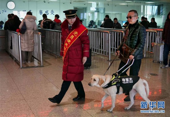 （社會）（4）導盲犬坐高鐵：讓視障旅客出行無障礙