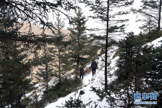 （新春走基層）（6）守護祁連山