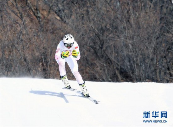 （全冬會）（5）高山滑雪——女子滑降比賽賽況