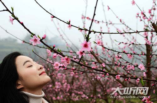 泸县2000年GDP_泸县二中
